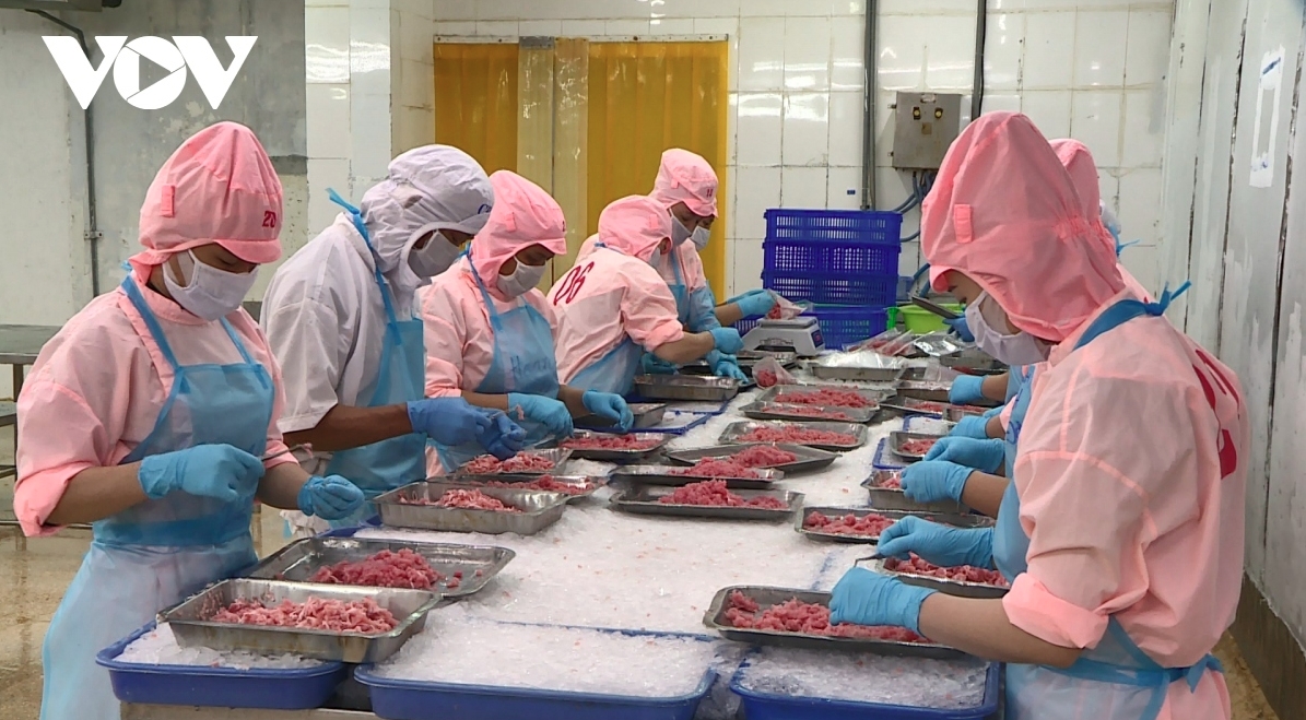 Vietnamese seafood exports hit US$6.3 billion during eight-month period